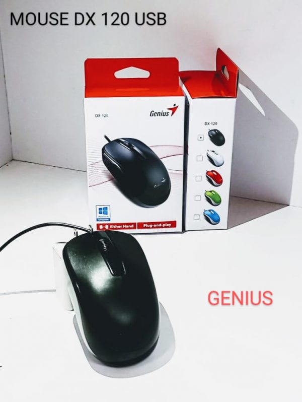 Mouse DX120 USB Genius